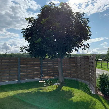 Charming With Feelings Of Sea & Land